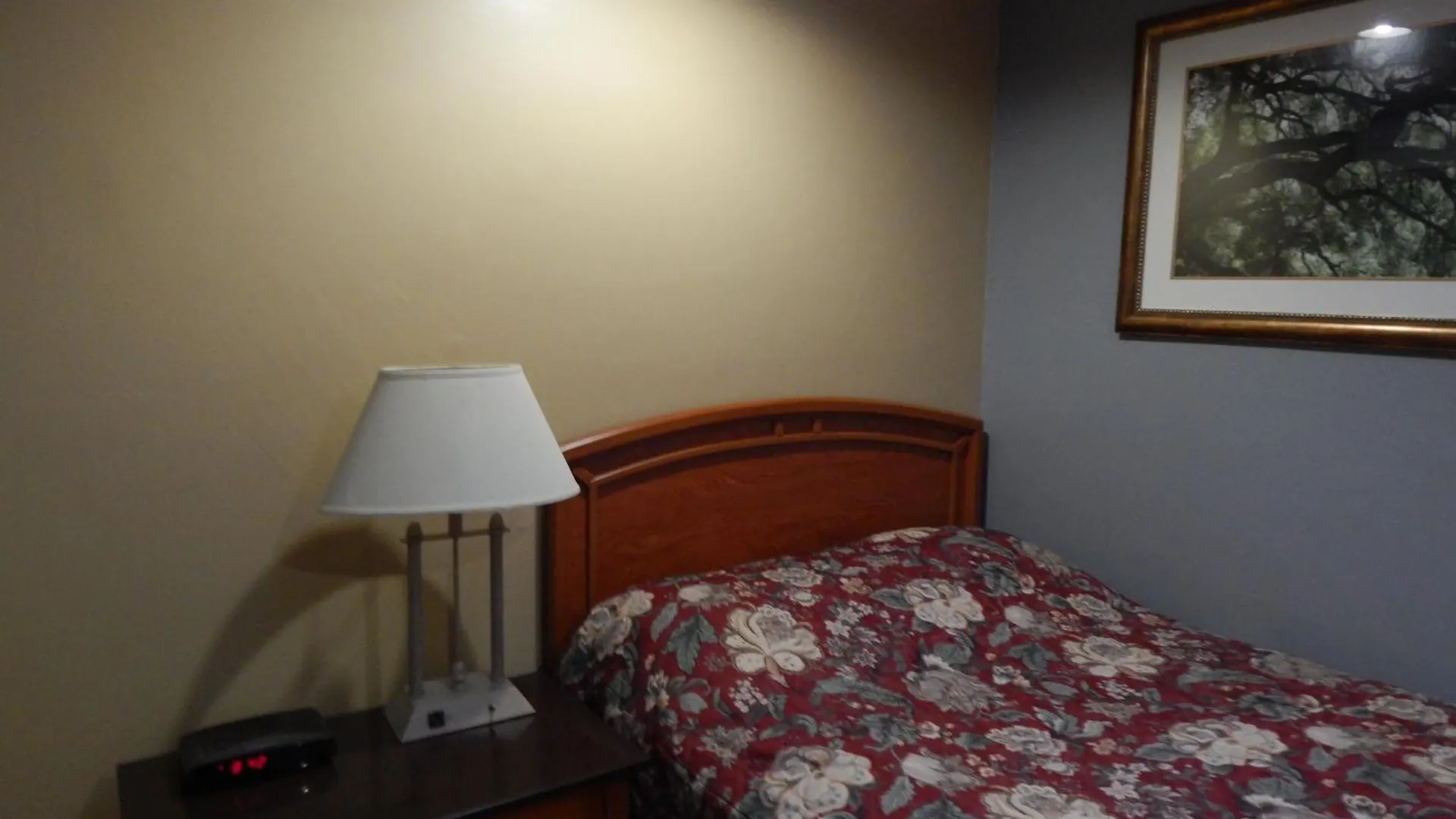Nox Hostel Toronto Canada